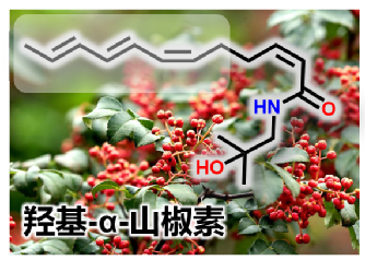 司机社