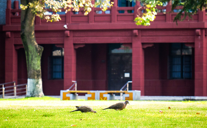司机社